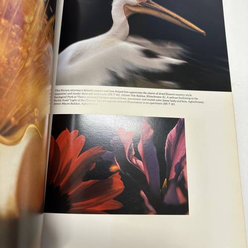 Minolta Mirror 1982 Issue