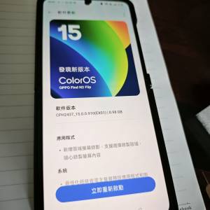 OPPO find N2 filp(留意內文）