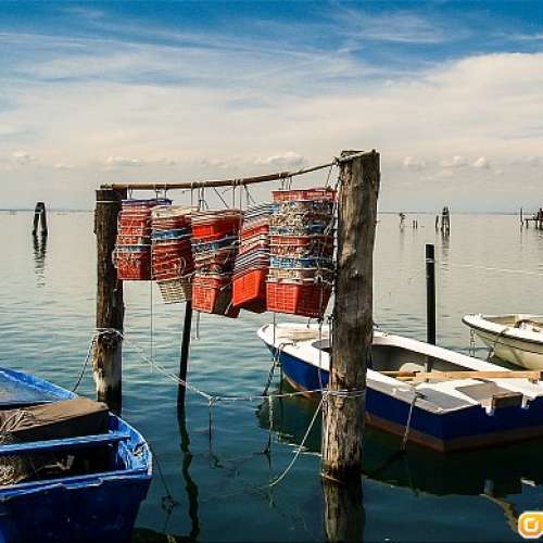 Olympus Zuiko Digital 14-45mm f/3.5-5.6(一代)連43轉M43自動對焦AF電子轉換環，高...