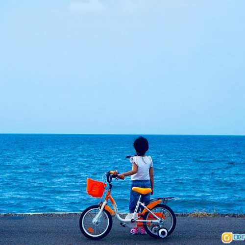 Olympus Zuiko Digital 14-45mm f/3.5-5.6(一代)連43轉M43自動對焦AF電子轉換環，高...