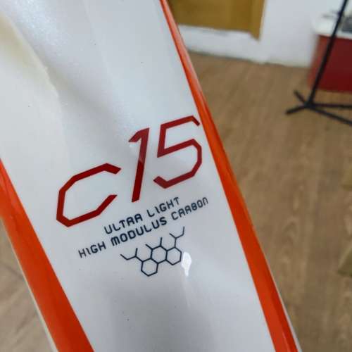 Fuji 碳纖公路單車