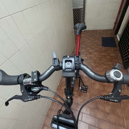 Dahon Mini 349 40周年紀念版 （ 跟349、355輪組兩套請細看內文）