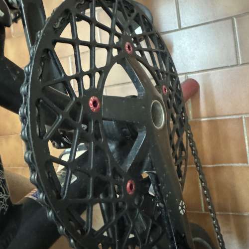 Dahon Mini 349 40周年紀念版 （ 跟349、355輪組兩套請細看內文）