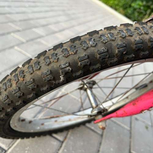 14吋兒童單車。