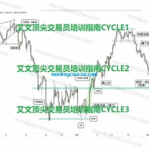 艾文顶尖交易员培训指南CYCLE 1 2 3 &艾文猎人课程