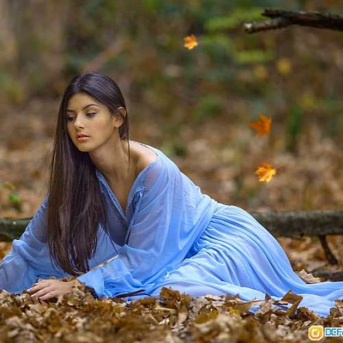 Canon EF 200mm f/2.8L II USM(AF快夾靜)色靚銳利唔大支，散景絕美EOS 5D4富士GFX ...