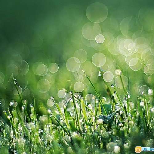 Pentax-M SMC 50/1.7 發色濃厚油潤，成像立體，散景層次豐富 SONY A7，Leica M10，...