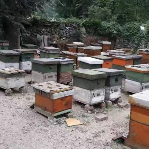 大山里的天然百花蜜蜜糖
