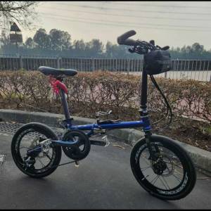 藍色Fnhon Gust 16吋 349 20速油刹碟