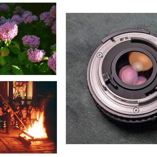 Nikon FM2 + Nikon 50mm f1.8 Series E