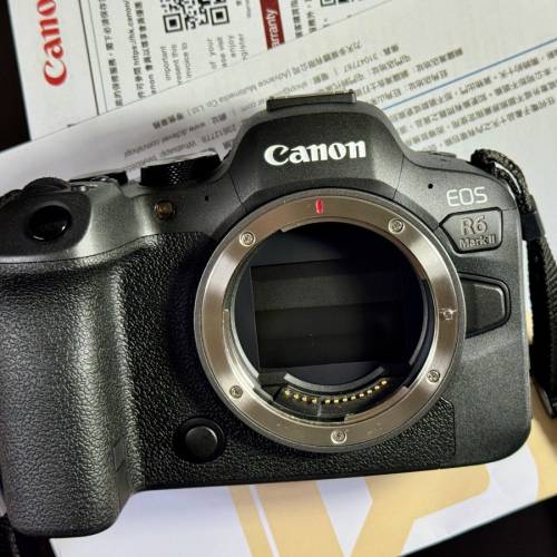 Canon EOS R6 Mark II 換 Fujifilm Sony