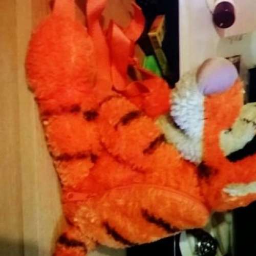 Winnie The Pooh 公仔+迷你跳跳虎背囊