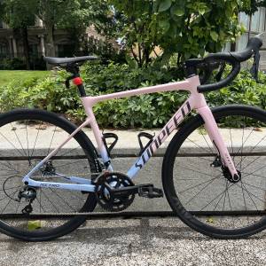 2025 SUNPEED ASTRO 阿童木 20速 油剎桶軸碳前叉鋁合金公路車 送水架前後蛙燈