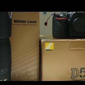 Nikon D500 and Nikon AF-S VR Zoom-Nikkor 70-300mm f/4.5-5.6G IF-ED
