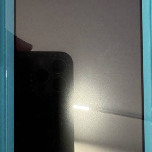 switch lite