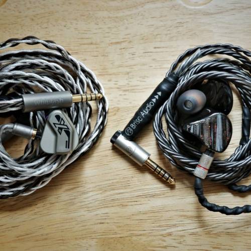 Whiplash Audio x Effect Audio x Chiron 升級線 Con X Term X