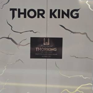 Kinera THORKING - 一圈六鐵四靜電全金屬旗艦耳機