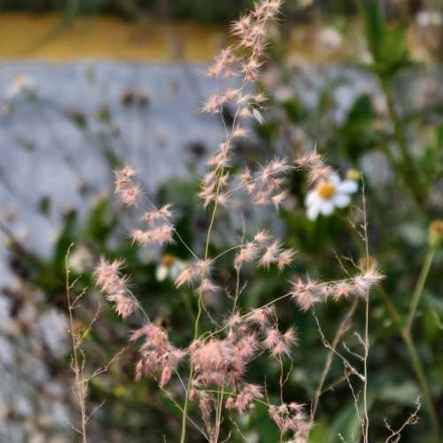 i5 13600kf 正常使用可以試u