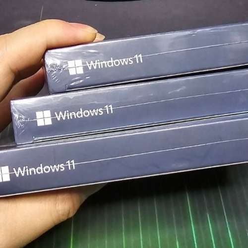 windows10 windows11 pro 專業版 微軟彩盒裝 繁體中英文 USB手指安裝