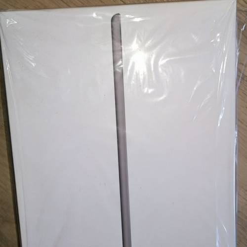 iPad 8