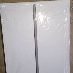 iPad 8