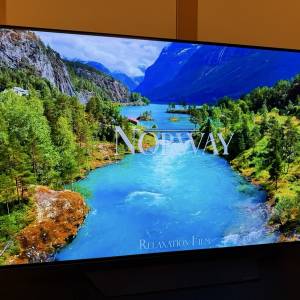 95%新 香港行貨 LG 樂金48吋OLED TV CX 智能電視OLED48CXPCA