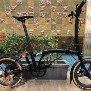 2025 鋁合金款 RUHM PRO D PLUS (PRO 2 PLUS CARBON) 7速 碟剎 碳纖維座管 16吋349 ...