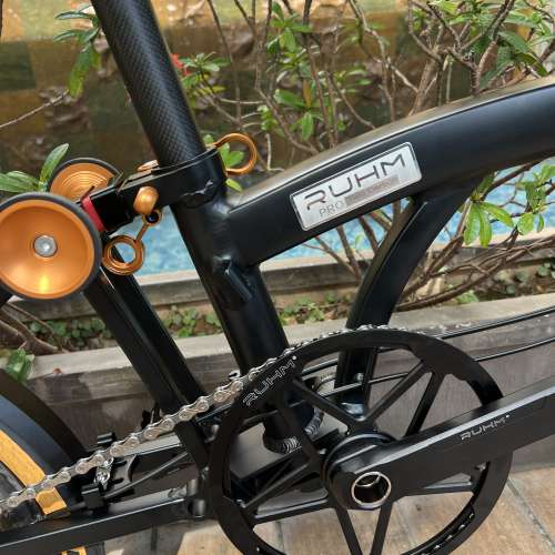 2025 鋁合金款 RUHM PRO D PLUS (PRO 2 CARBON) 7速 碟剎 碳纖維座管 16吋349 碳纖...