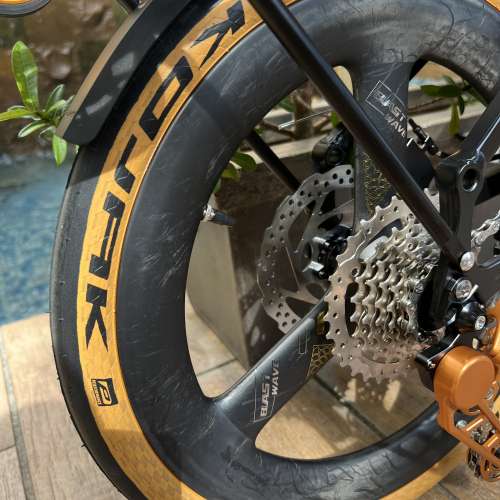 2025 鋁合金款 RUHM PRO D PLUS (PRO 2 CARBON) 7速 碟剎 碳纖維座管 16吋349 碳纖...