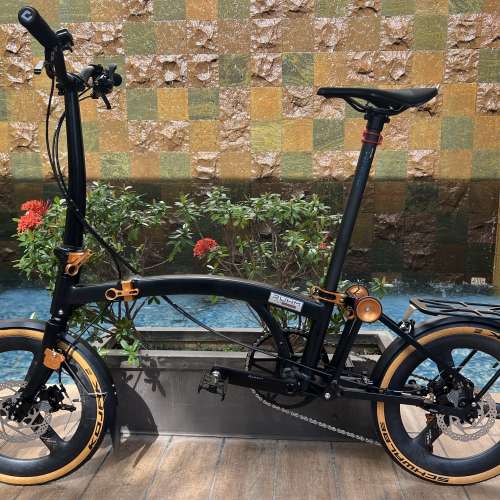 2025 鋁合金款 RUHM PRO D PLUS (PRO 2 CARBON) 7速 碟剎 碳纖維座管 16吋349 碳纖...