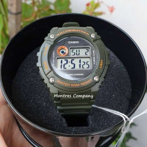 Montres Company 香港註冊公司(32年老店) 卡西歐 CASIO 防水 W-216H W-216H-3B 綠...