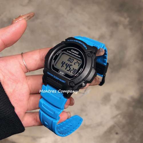 Montres Company 香港註冊公司(32年老店) 卡西歐 CASIO W-219 W-219H-2A2 復古錶 藍...