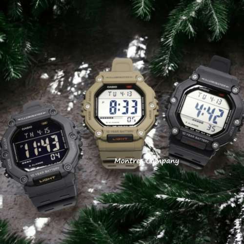 Montres Company 香港註冊公司 (32年老店) 卡西歐 CASIO 超長電池壽命 AE-1600H-8B ...