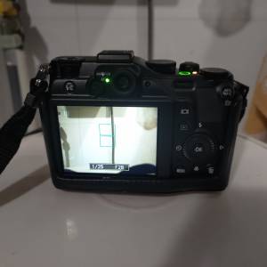Nikon P7000 CCD