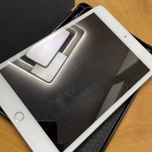 IPad mini 5 WiFi 64GB 連筆
