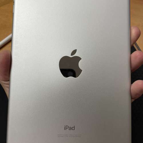IPad mini 5 WiFi 64GB 連筆