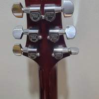 PRS cusT22