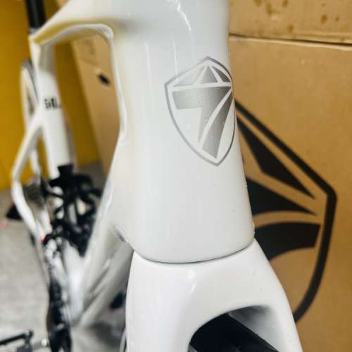 特價款式 2025 TWITTER R5 PRO 二代 24速碟剎桶軸碳纖維公路車 送水架前後蛙燈