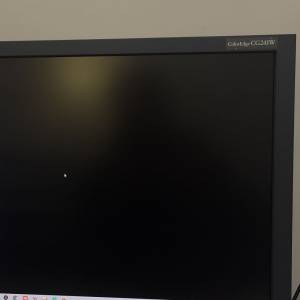 Eizo CG 241