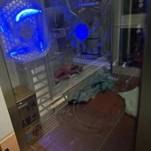 B150主機四件套送奧特曼機箱