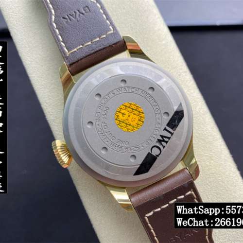 IWC 萬國 飛行員系列 IW501005 46.2mm 大飛 ZF