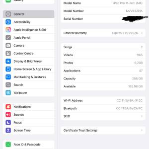 ipad pro M4 11” 256G wifi version