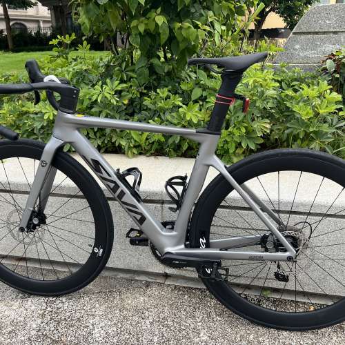 2025 SAVA A7L 24速油剎桶軸碳刀碳纖維公路車 送水架前後蛙燈