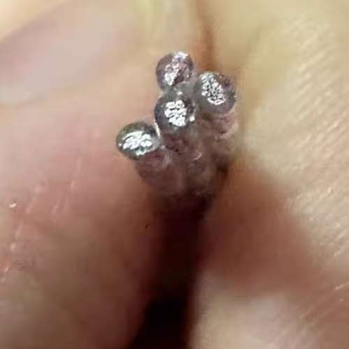 【Celestia Audio】【星之彩】Color Out of Space耳機升級線