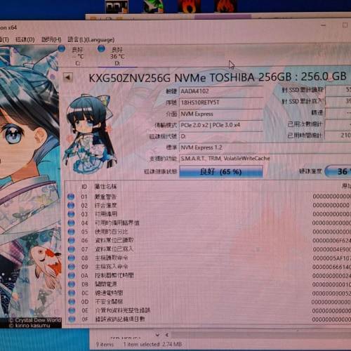 TOSHIBA 256GB NVMe SSD