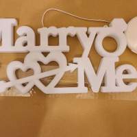 Marryme 愛神 求婚燈飾