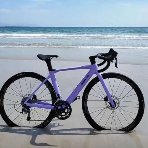 2025 SAVA A4 20速油剎桶軸碳纖維公路車 送水架前後蛙燈