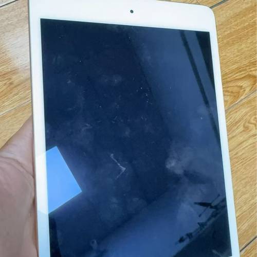 Apple iPad mini 5 64gb WiFi  有中文