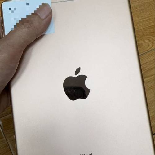 Apple iPad mini 5 64gb WiFi  有中文