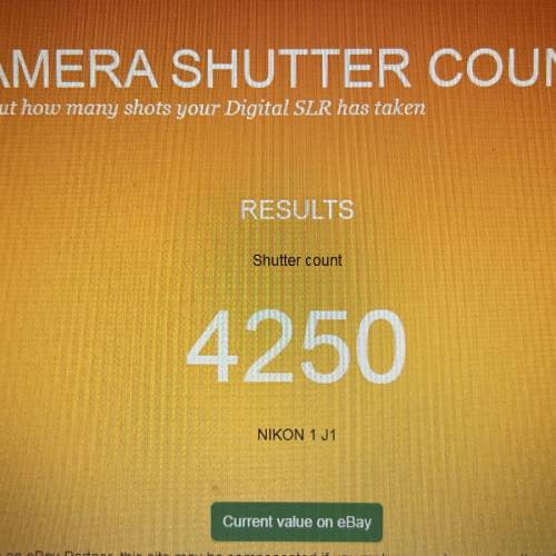 Nikon 1 連10-30 zoom